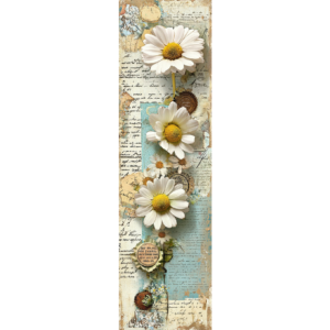Daisies
